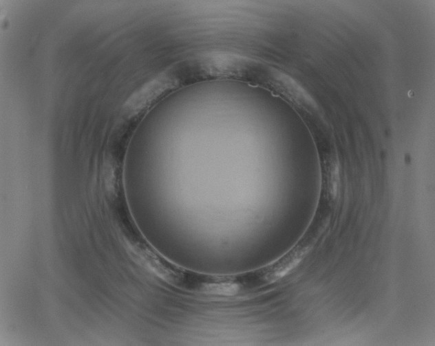 X0000064040266200601271209