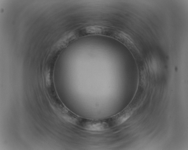 X0000064040267200601271209