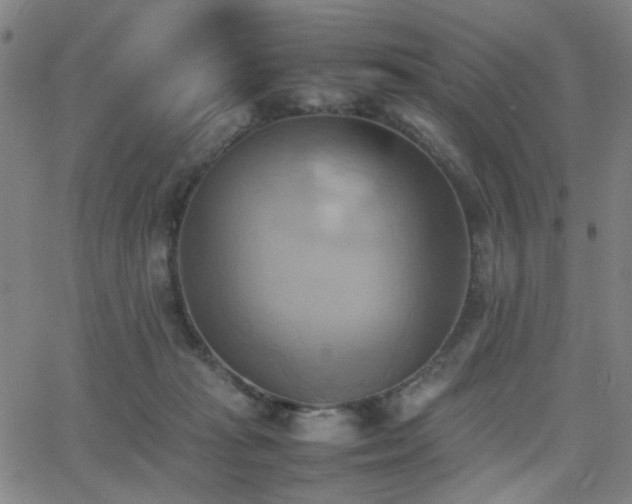 X0000064040269200601271209