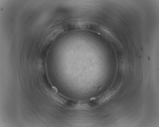 X0000064040270200601271209