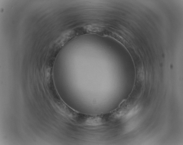 X0000064040271200601271209