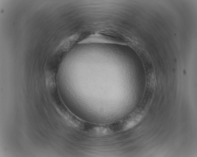 X0000064040272200601271209