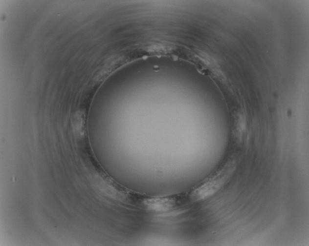 X0000064040273200601271209