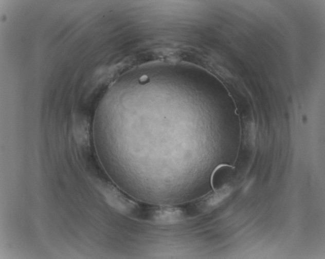 X0000064040274200601271209