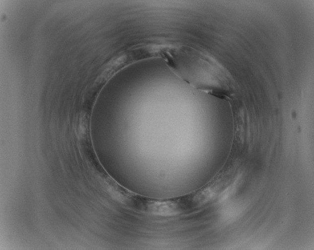 X0000064040277200601271210