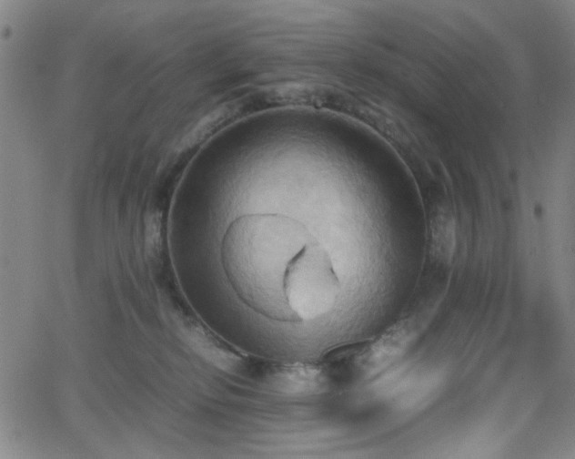 X0000064040278200601271210