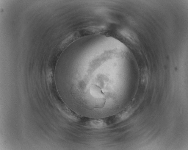 X0000064040279200601271210