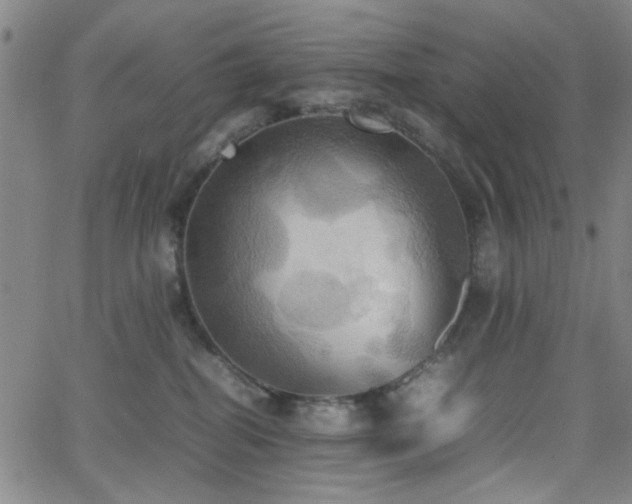 X0000064040282200601271210