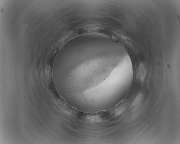 X0000064040283200601271210