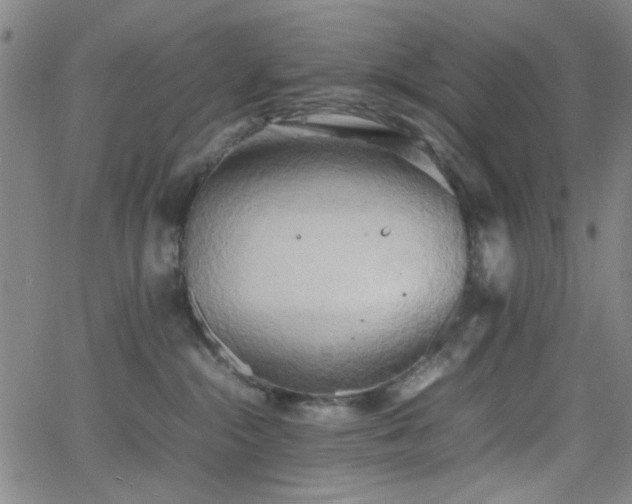 X0000064040284200601271210