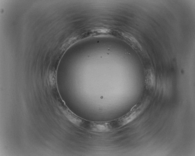 X0000064040285200601271210