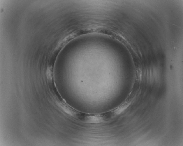 X0000064040286200601271210