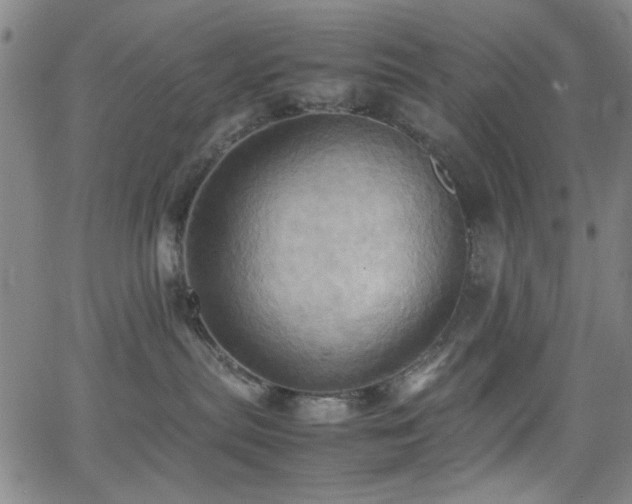 X0000064040287200601271210