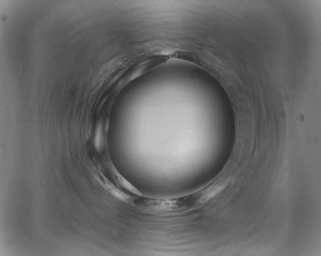 X0000064040288200601271210