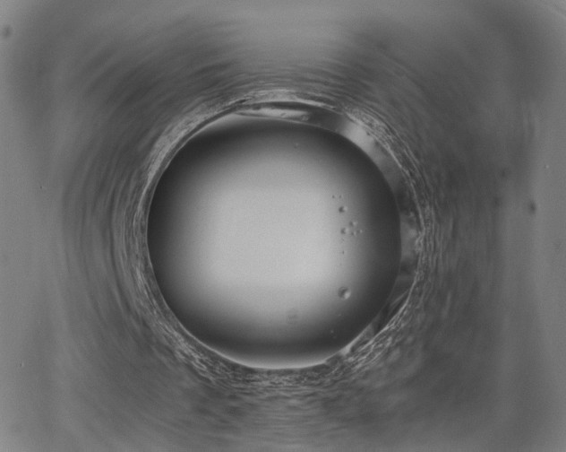 X0000064040289200601271209