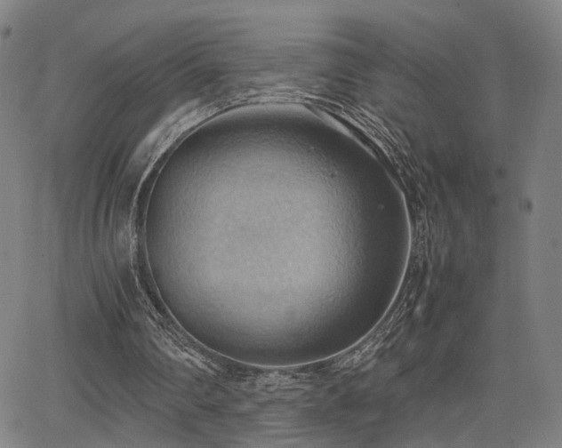 X0000064040290200601271209