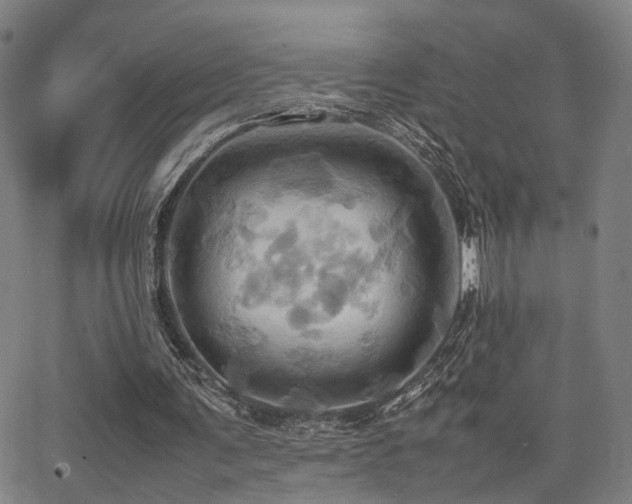 X0000064040291200601271209