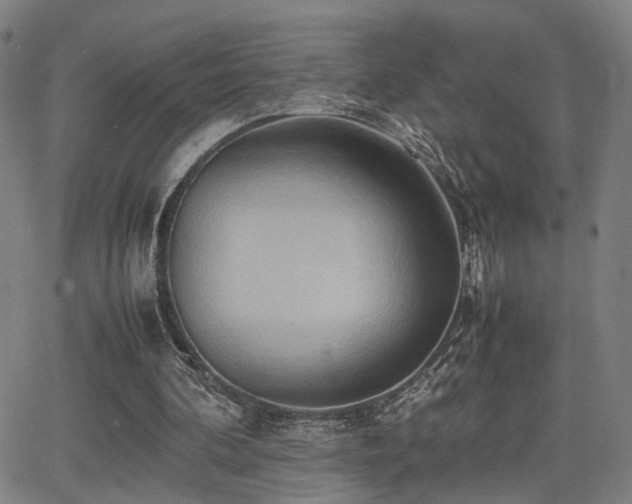 X0000064040292200601271209