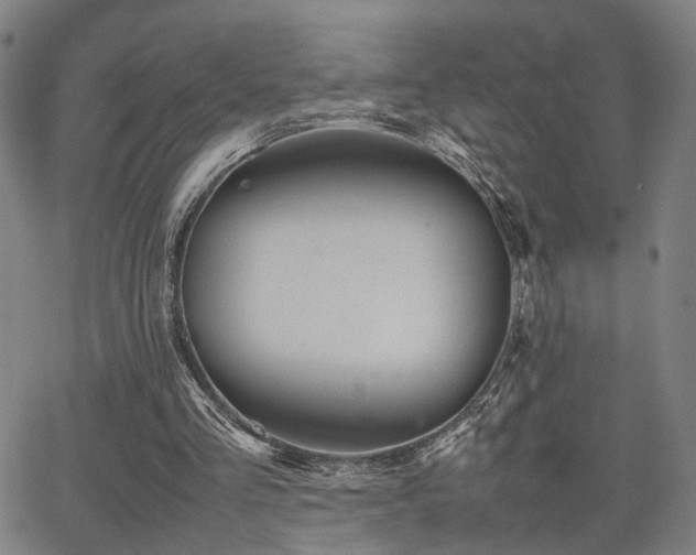 X0000064040293200601271209