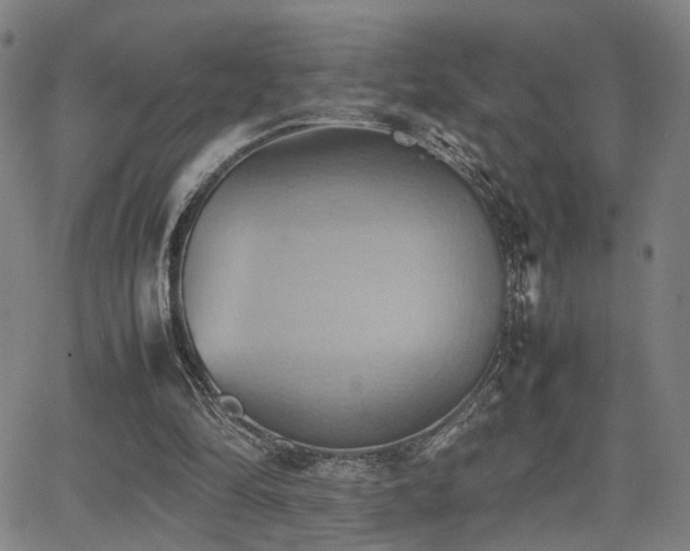 X0000064040294200601271209