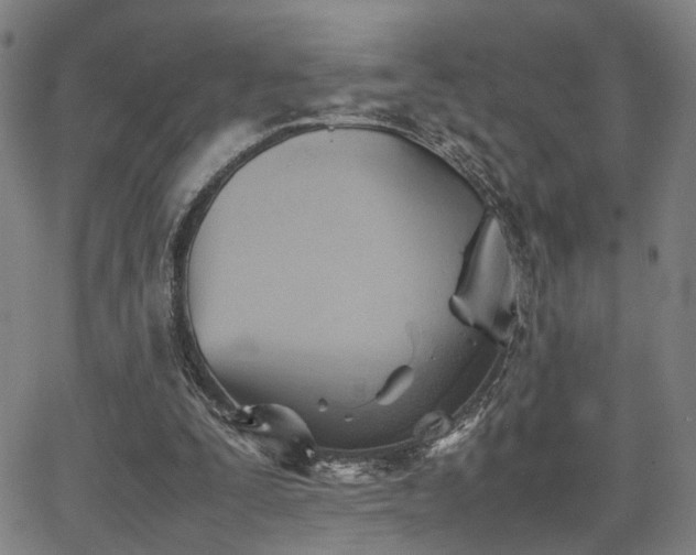 X0000064040295200601271209