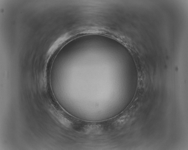 X0000064040296200601271209