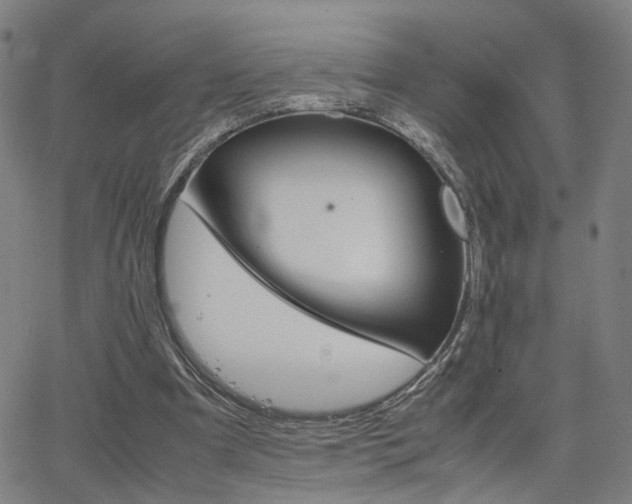 X0000064040297200601271209