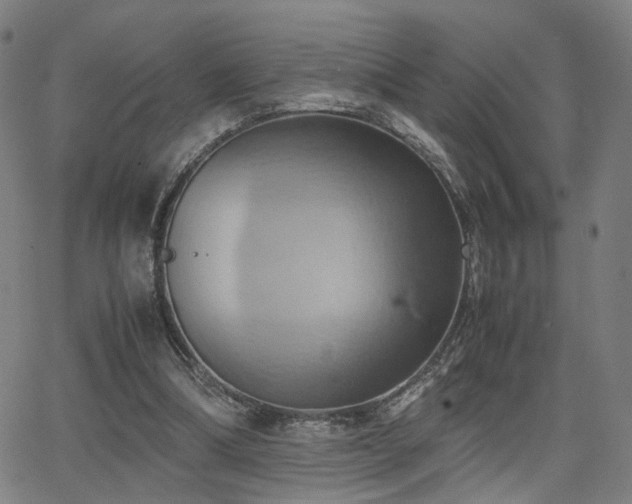 X0000064040298200601271209