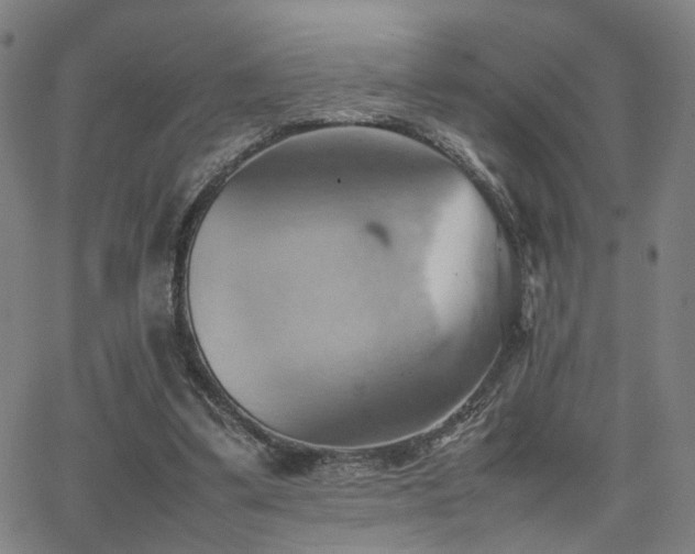 X0000064040299200601271209