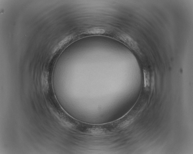 X0000064040300200601271209