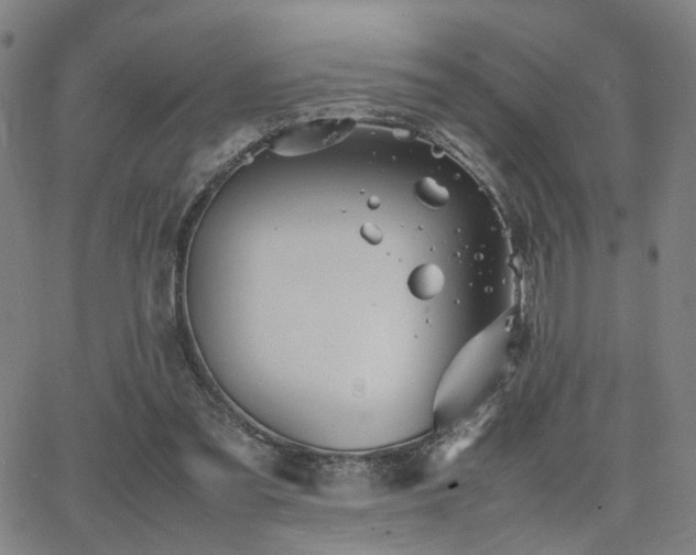 X0000064040301200601271209