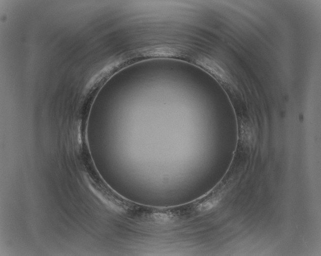 X0000064040302200601271209