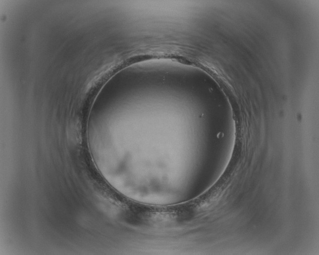 X0000064040303200601271209