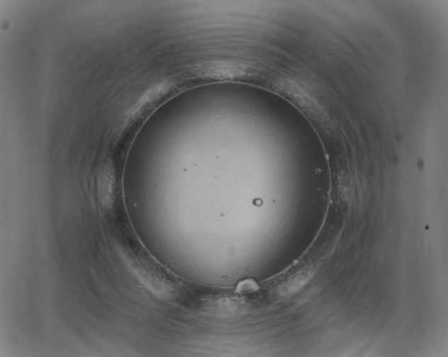 X0000064040304200601271209