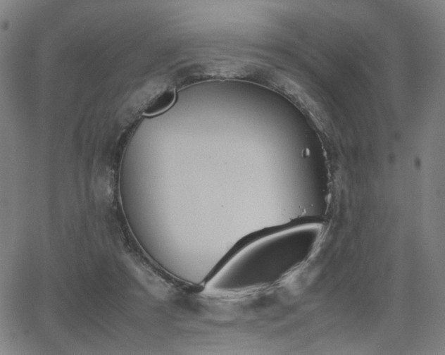 X0000064040305200601271209