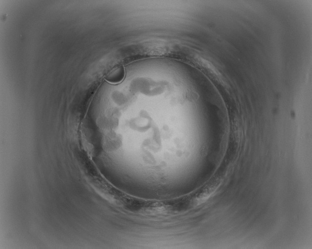 X0000064040307200601271209