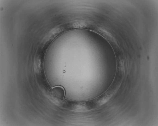 X0000064040308200601271209