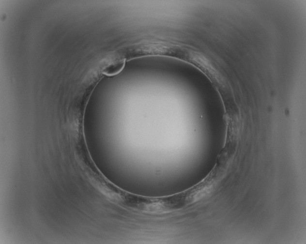 X0000064040309200601271209