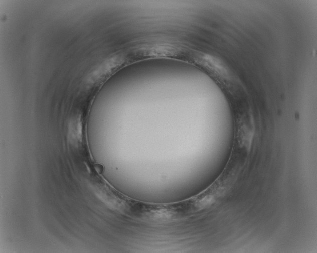 X0000064040310200601271209