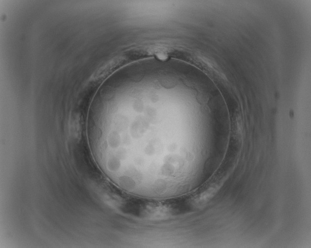 X0000064040311200601271209