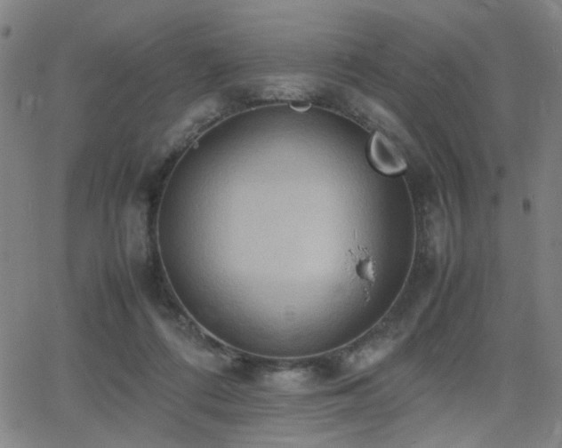 X0000064040312200601271209