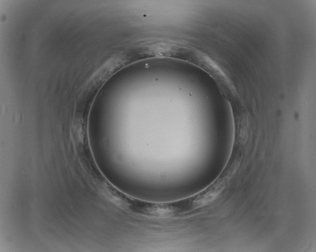 X0000064040313200601271209