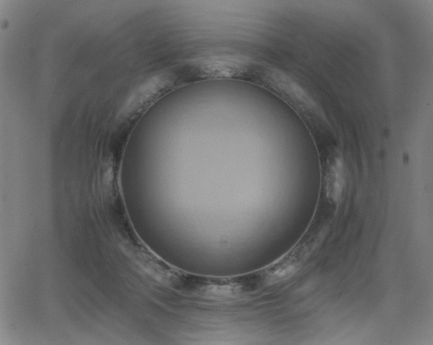 X0000064040314200601271209