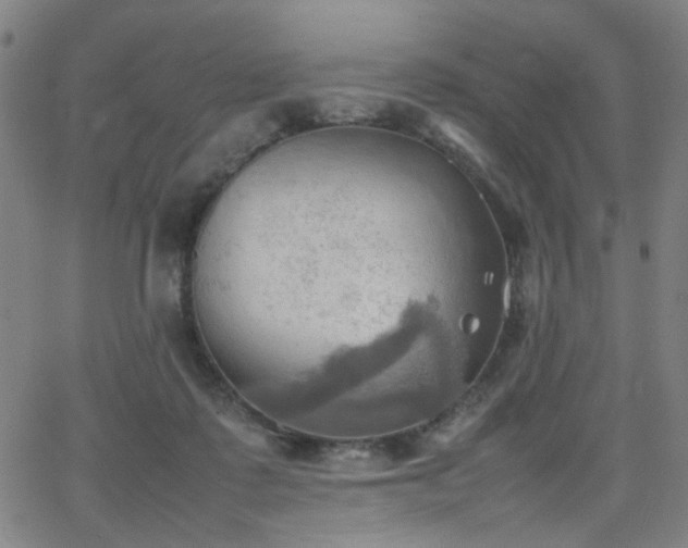 X0000064040315200601271208