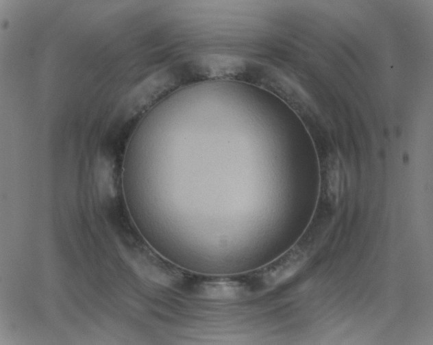 X0000064040316200601271208