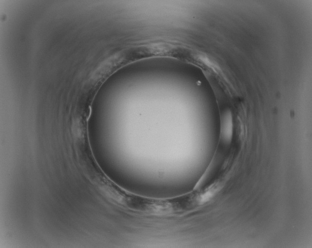 X0000064040317200601271208