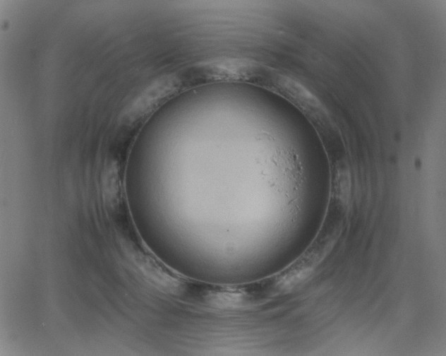 X0000064040318200601271208