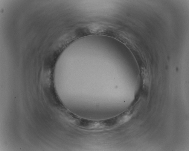 X0000064040319200601271208