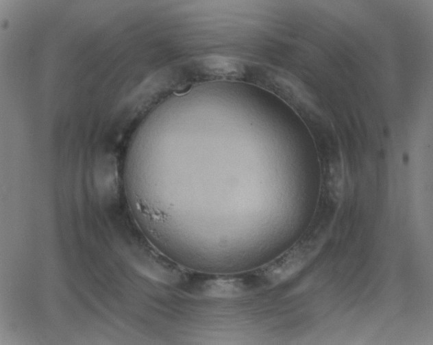 X0000064040320200601271208