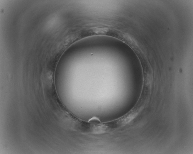 X0000064040321200601271208